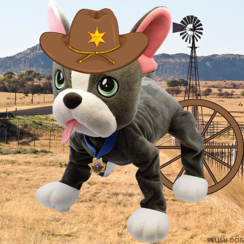 Carousel Item 7