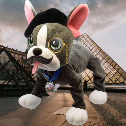 Carousel Item 9